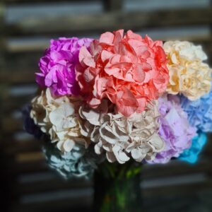 Kit Pigmenti Most wanted